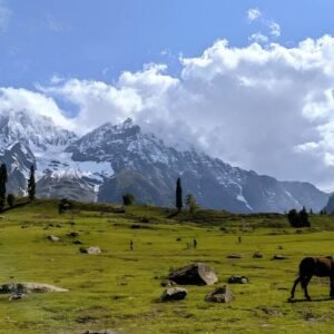 * jammu and Kashmir tour with srinagar , Anantnag , gulmarg and sonmarg